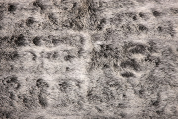 Background from natural fur. Animal Hair Background.