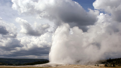 Old Faithful Geyser Yellowstone NP