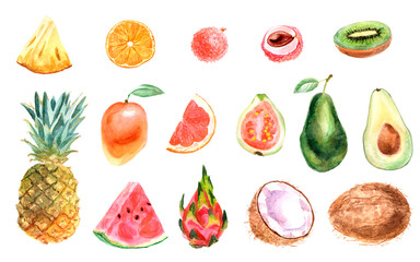 Watercolor tropical set of fruits on a white background