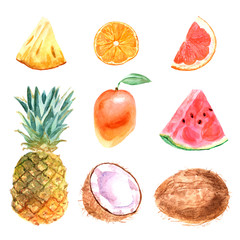 Watercolor tropical set of fruits on a white background