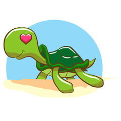 turtle vector graphic design clipart