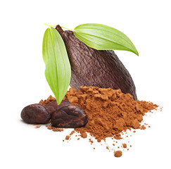 Cacao beans and powder isolated