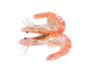 Shrimp isolated on the white background