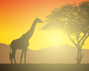 Fototapeta na wymiar Realistic illustration of African landscape with safari, trees and giraffe under orange sky with rising sun. Mountains on the background, vector
