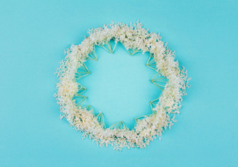 floral round frame of white elderberry flowers on blue pastel background, top view flat lay