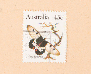 AUSTRALIA - CIRCA 1980: A stamp printed in Australia shows a butterfly, circa 1980