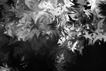 Abstract background with geometric design. Digital futuristic element. Technology. Macro flower cactus. Floral wallpaper. Black and white, monochrome. Dark background. Color palette.