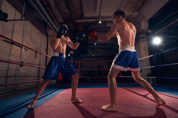 Two athletic men fighters exercising boxing in the ring at the health club