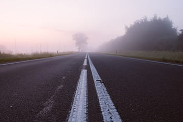 morning road at dawn in the fog