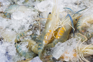 Naklejka premium Fresh couple river prawn or shrimp eggs on ice for seafood cooking at supermarket.