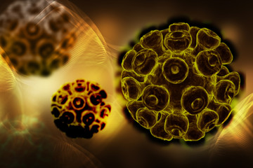 3d rendered Human Papillomavirus isolated on color background