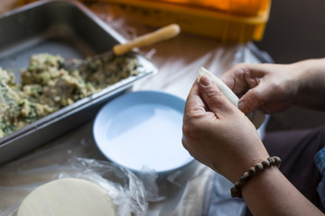 Obraz na płótnie Canvas Woman is making dumplings. Making of Korean mandu.