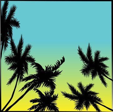 Tropical coconut palm tree silhouettes illustration over a blue sky sky in vector format.