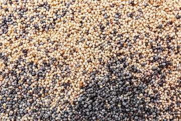 Many black and white poppy seeds as background