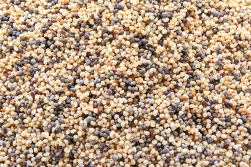 Many black and white poppy seeds as background
