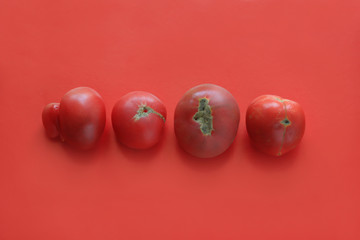 Ugly food concept, deformed tomatoes on the red background, copy space.