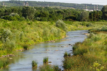 a small river with overgrown banks