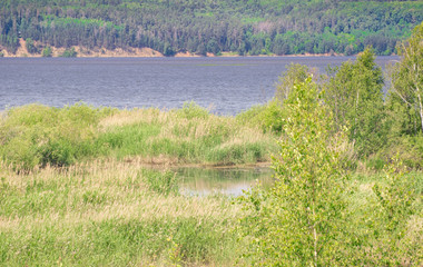 Obraz premium beautiful view of the river