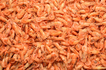 Tasty fresh shrimps as background.