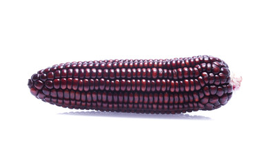 Black Corn on white background