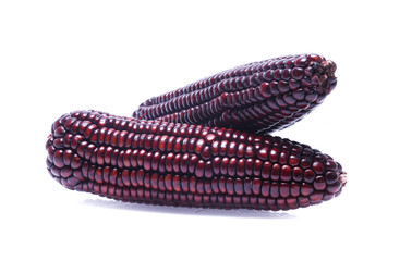 Black Corn on white background