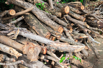 Woodpile or firewood (Pile of wood or stack of wood) from using the pruning saw of the overgrown tree