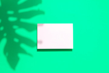 Fototapeta premium Tropical monstera palm leaf shadow with a blank white card frame