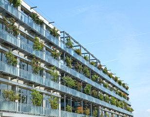 Immeuble végétalisé avec rosiers en façade