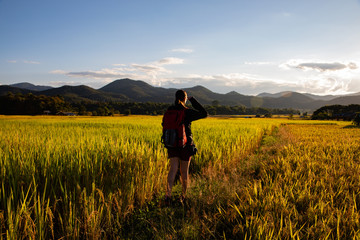 Beautiful traveler woman with backpack on rice fields in Thailand