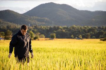 Fototapeta na wymiar Handsome traveler man on rice fields in Thailand
