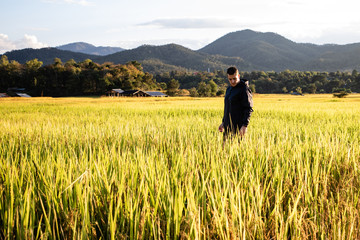 Handsome traveler man on rice fields in Thailand