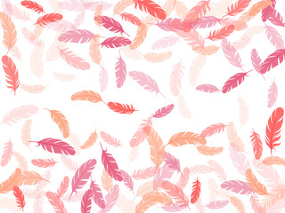 Flying feather elements airy vector design.