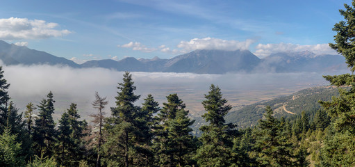 Mountain landscape with fog and firs