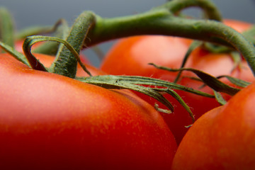 El tomate, rico en vitaminas y antioxidantes, está considerado como fruta aunque nace en una mata...