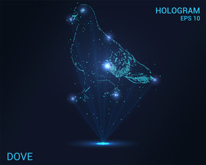Hologram dove. Holographic projection of the pigeon. Flickering energy flux of particles. Scientific bird design.