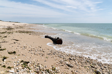 Driftwood Beach in south West France in Isle de Re