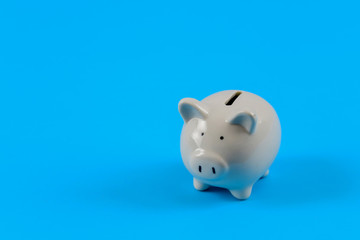White piggy bank on blue pastel background
