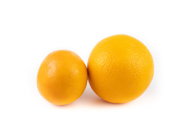 Farm fresh orange on white background