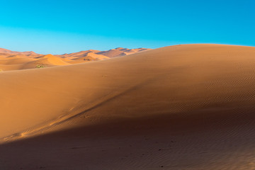 Fototapeta na wymiar The sand dunes of Erg Chebbi at Merzouga, Morocco.
