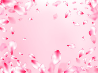 Obraz na płótnie Canvas Japanese cherry blossom pink flying petals