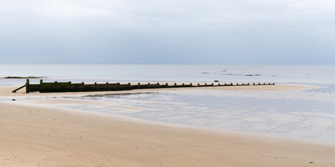 Breakwater of row wooden poles in Sea coast in web banner template