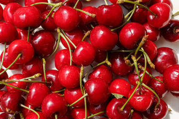 ripe red sweet cherry, top view background. cherry and sweet cherry picking season.