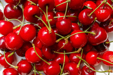 close-up cherries and sweet cherry harvest season. berries background for design concepts.