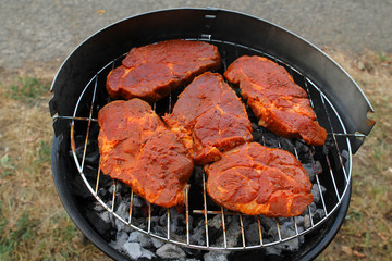 beautiful juicy, raw grilled meat is fried in an open grill on hot coals, horizontal