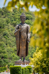 thai Buddha image in forest