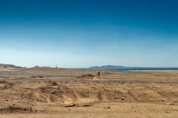 desert landscape on the coast of the Red Sea