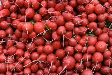 Bunch of red radishes in the market. Full frame of red radish. Food concept baner, poster.