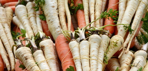 Fresh, parsnips and carrots at the weekly market. A bunch of carrot and parsnip. Full frame of vegetable.