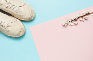Beige fashionable women's espadrilles with spring flowering branch on color pastel blue pink...