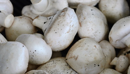Fototapeta premium Fresh white button champignons mushrooms on the farmers' market. A lot of champignons in a basket. White mushrooms on the market.